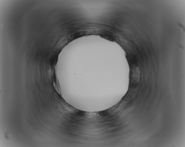 X0000097750333200804041109