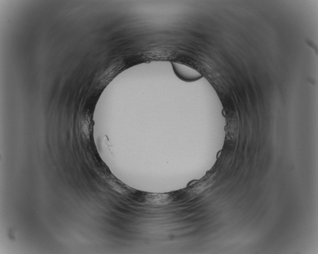 X0000097750334200804041109