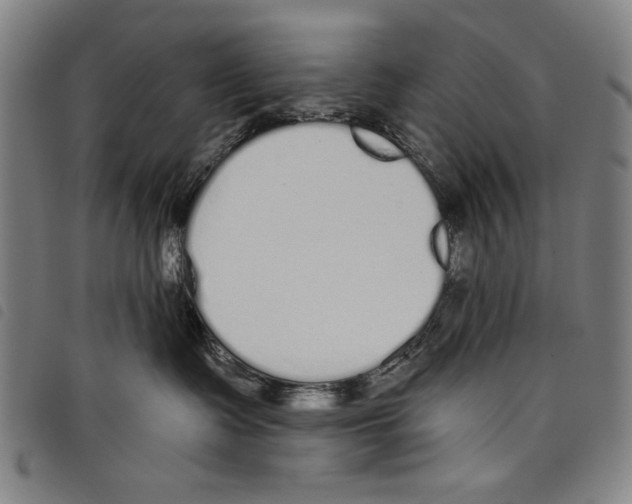 X0000097750335200804041108