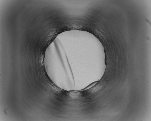 X0000097750336200804041108