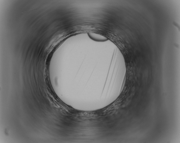 X0000097750338200804041108