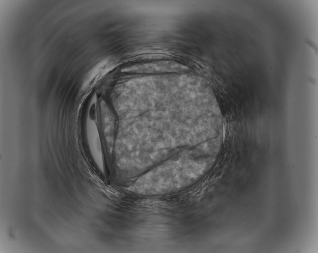 X0000097750339200804041108