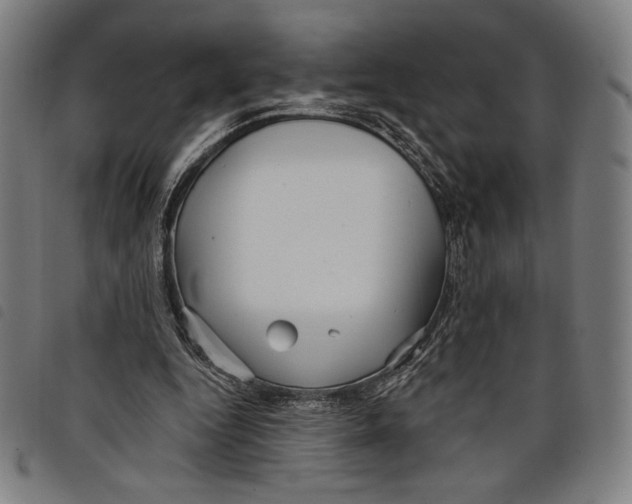 X0000097750344200804041108