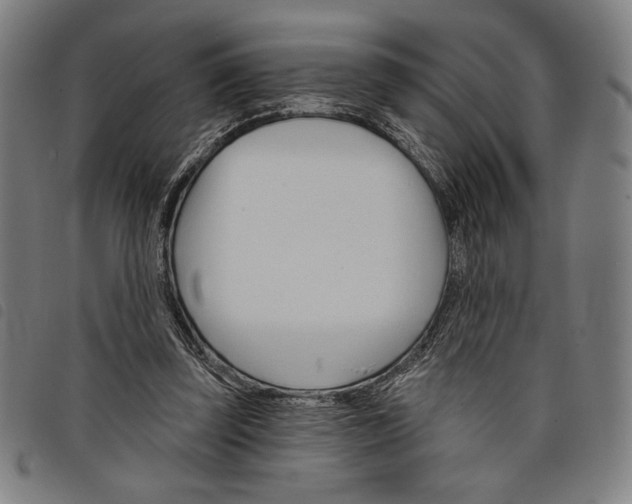 X0000097750347200804041108