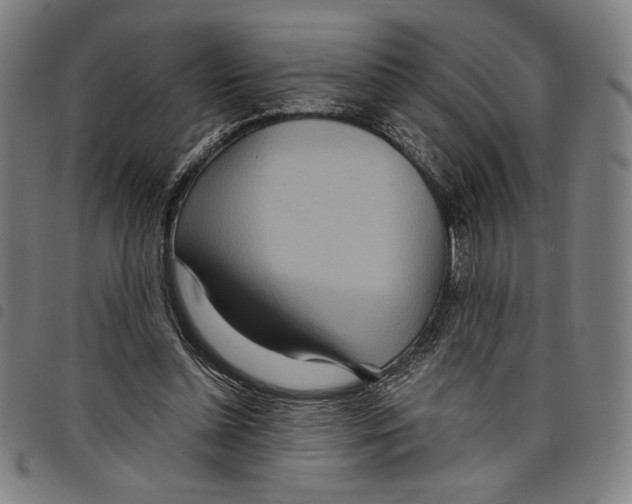 X0000097750348200804041108