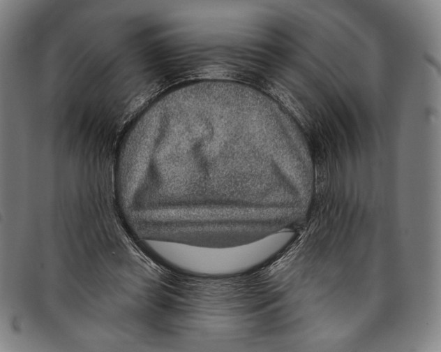 X0000097750349200804041108