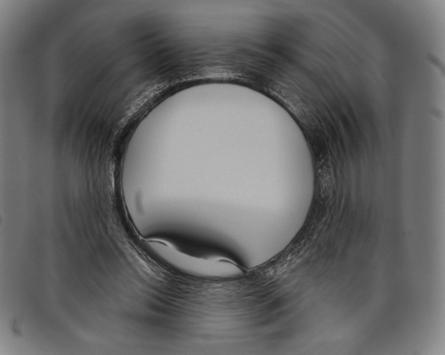 X0000097750350200804041108