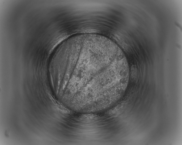 X0000097750351200804041108