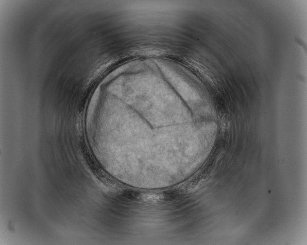 X0000097750352200804041108