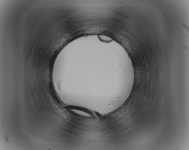 X0000097750354200804041108