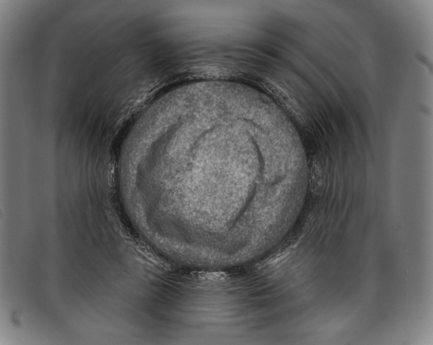 X0000097750355200804041108