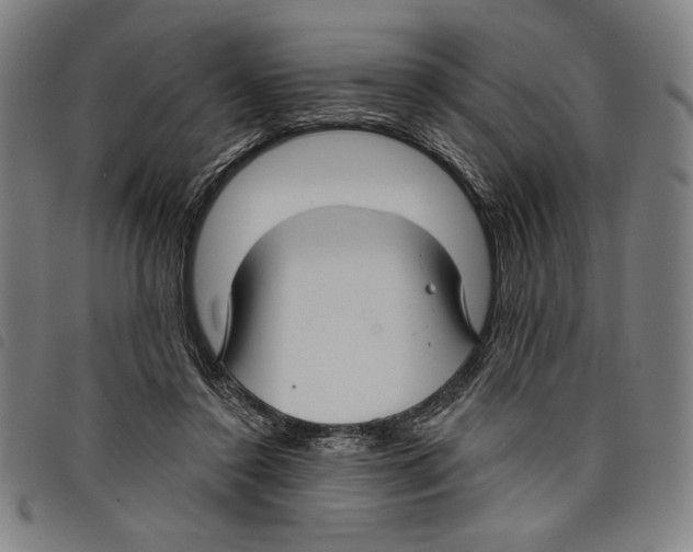 X0000097750356200804041108