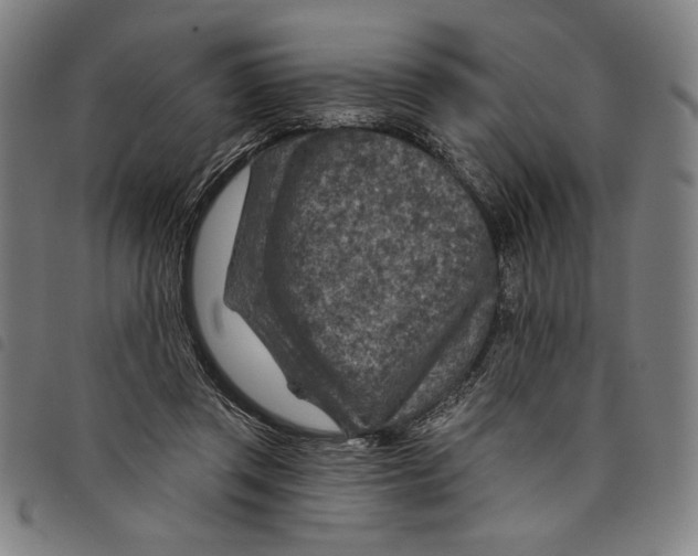 X0000097750357200804041108