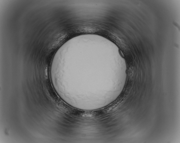 X0000097750358200804041108