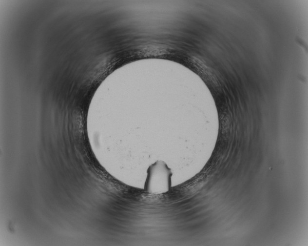 X0000097750362200804041108