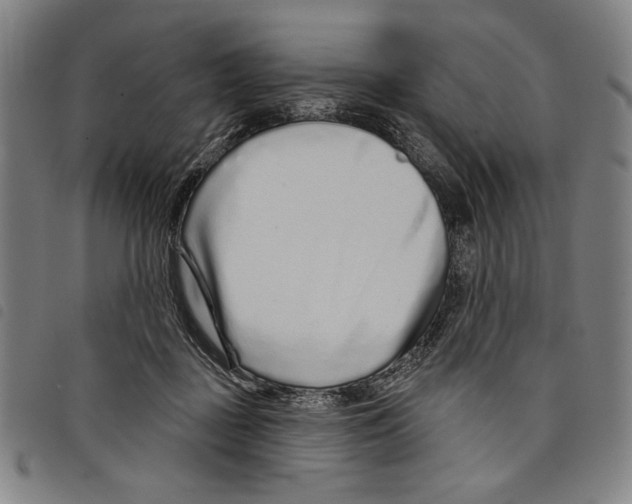 X0000097750363200804041108