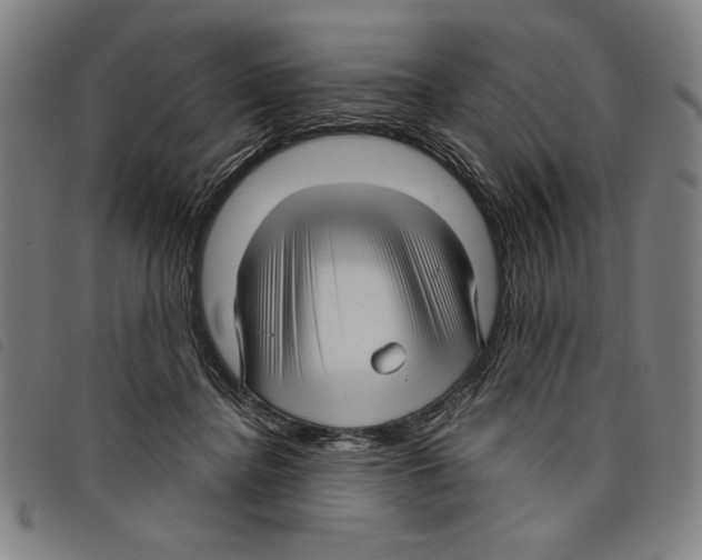 X0000097750364200804041108