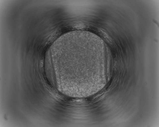 X0000097750365200804041108