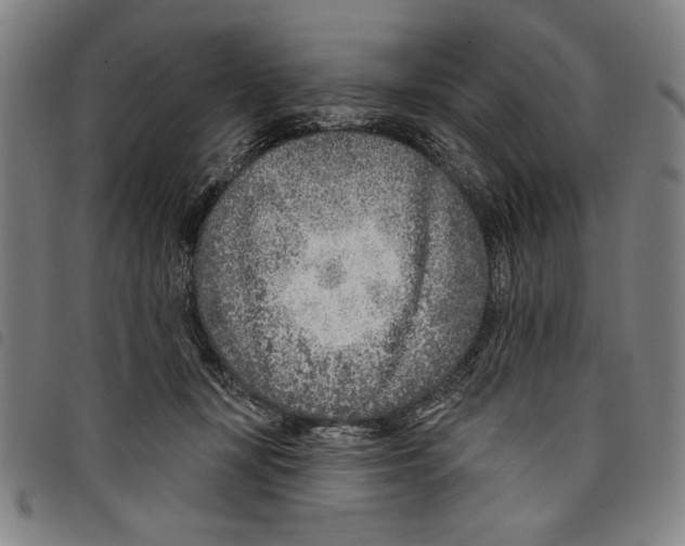 X0000097750367200804041108