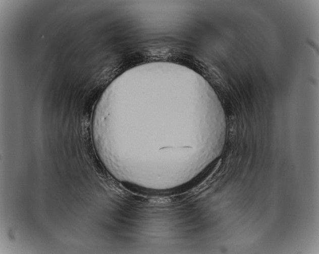 X0000097750369200804041108