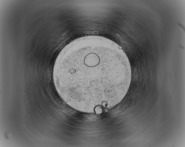 X0000097750370200804041108