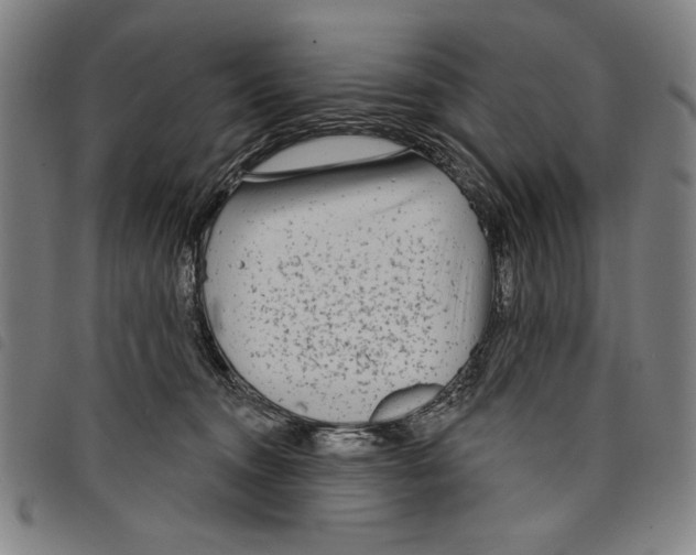 X0000097750372200804041108