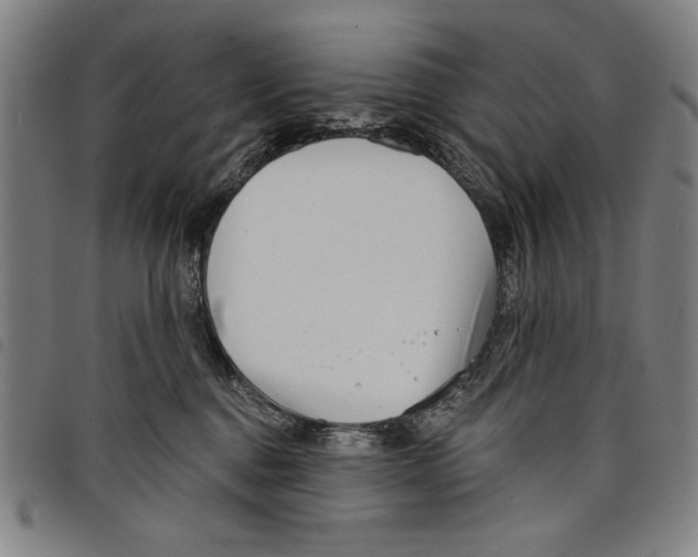 X0000097750376200804041108