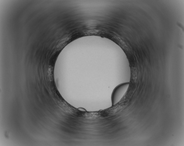 X0000097750378200804041108