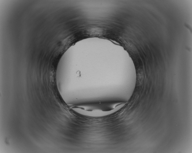 X0000097750379200804041108