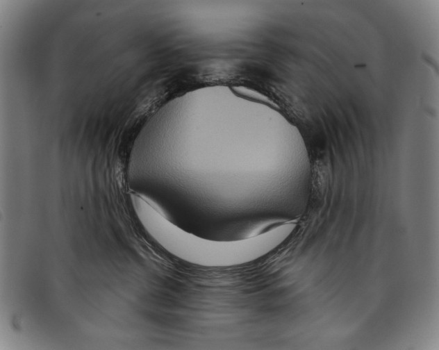 X0000097750380200804041108