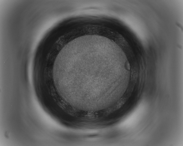 X0000097750383200804041108