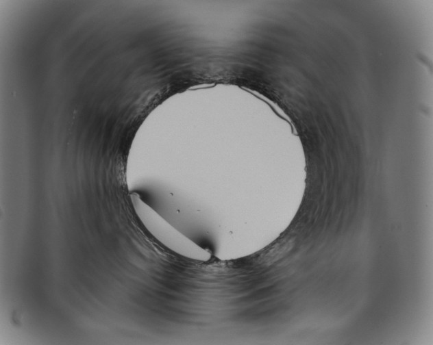 X0000097750384200804041108