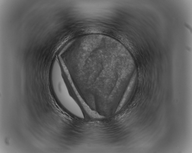 X0000097750386200804041108