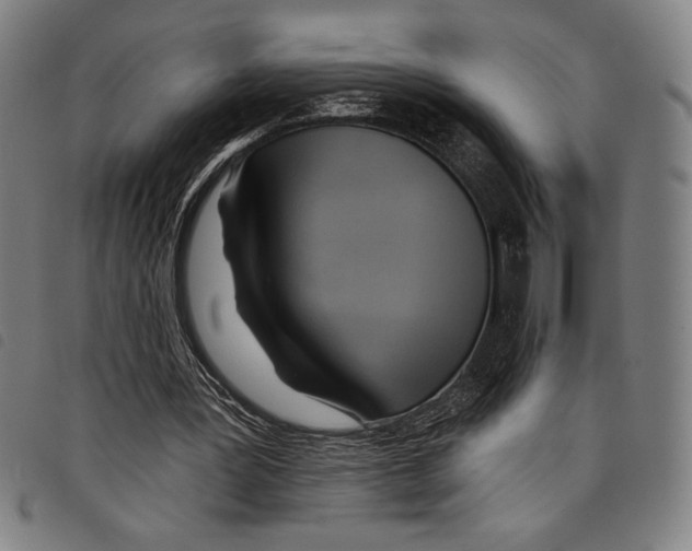 X0000097750387200804041108