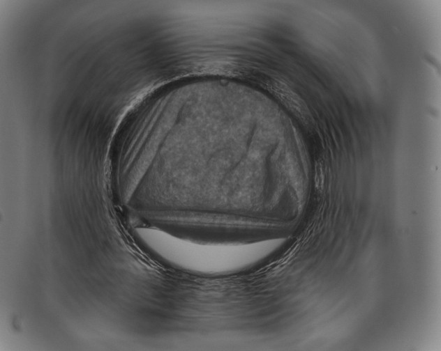 X0000097750388200804041108