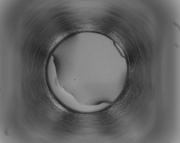 X0000097750389200804041108