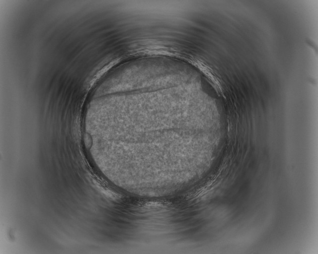 X0000097750390200804041108