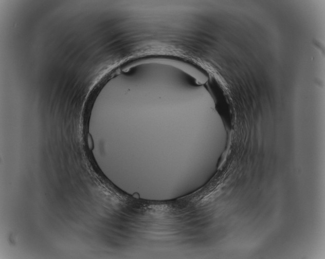 X0000097750391200804041108