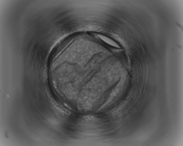 X0000097750392200804041107