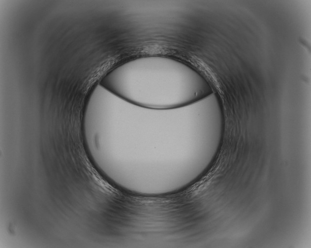 X0000097750393200804041107