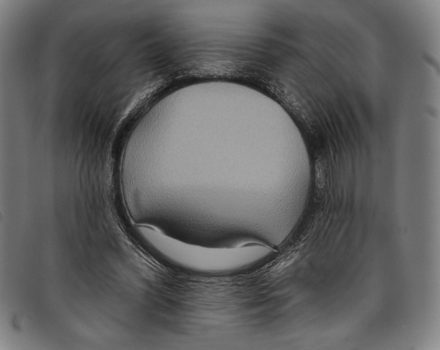 X0000097750396200804041107