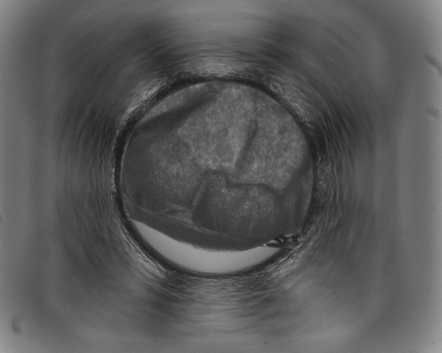 X0000097750399200804041107