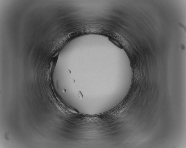 X0000097750401200804041107