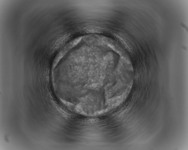 X0000097750402200804041107