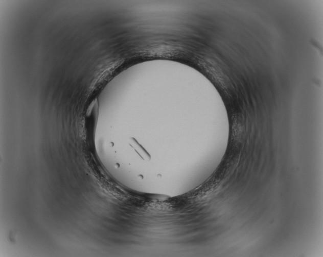 X0000097750403200804041107