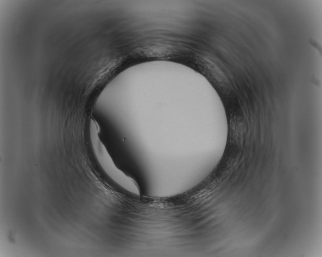 X0000097750404200804041107