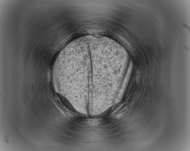 X0000097750405200804041107