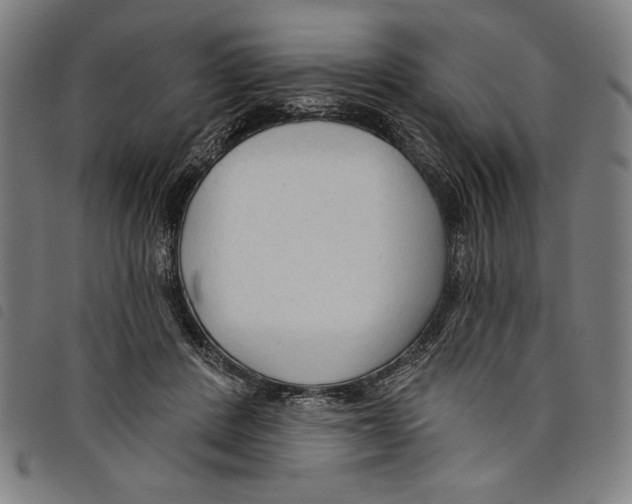 X0000097750408200804041107