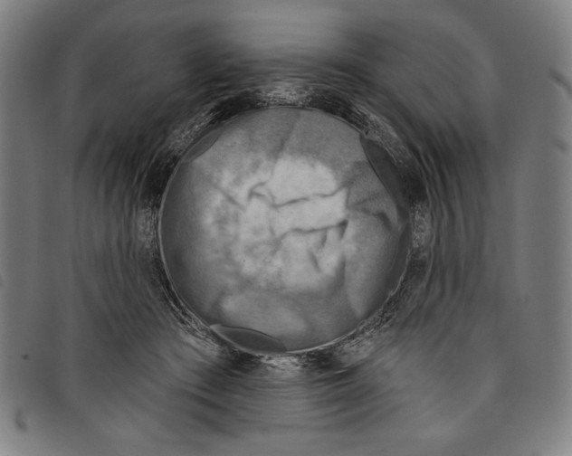 X0000097750409200804041107