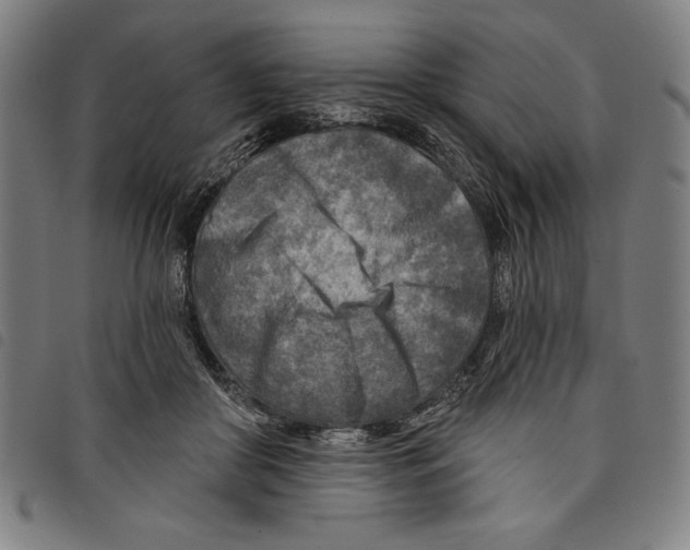 X0000097750410200804041107